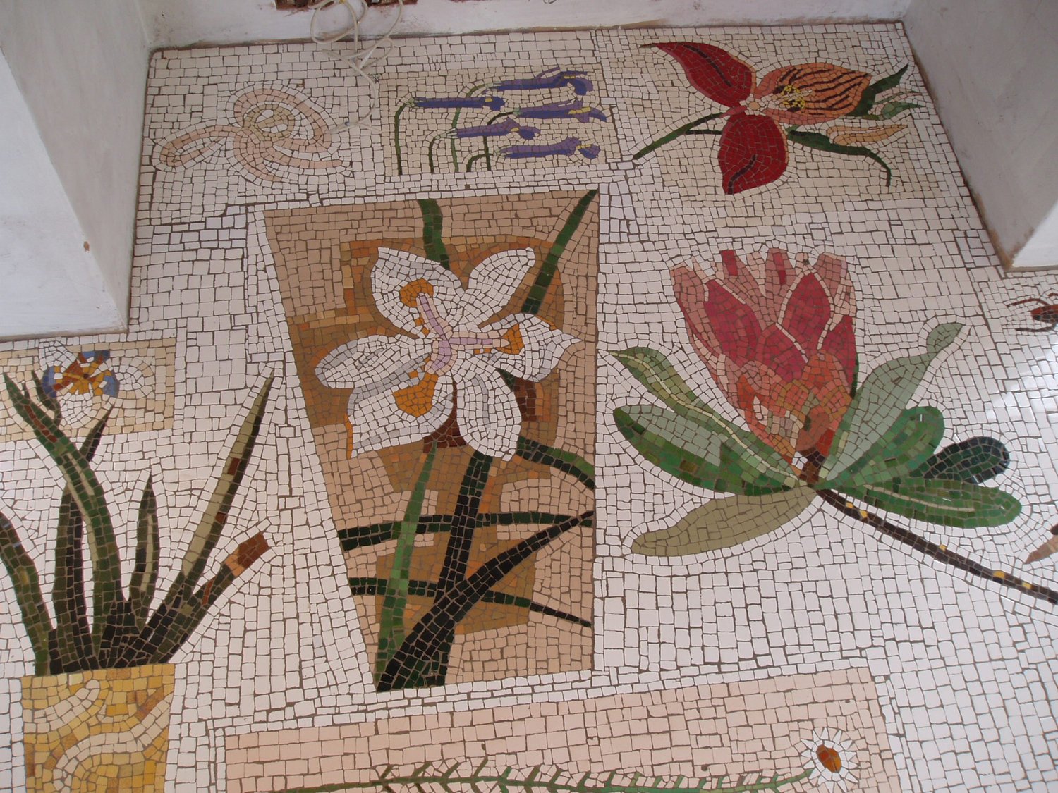 Mosaics #5